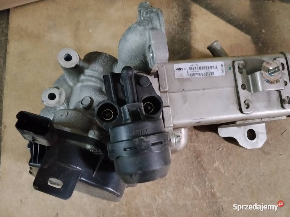 EGR Ford osobowe Jawor sprzedam