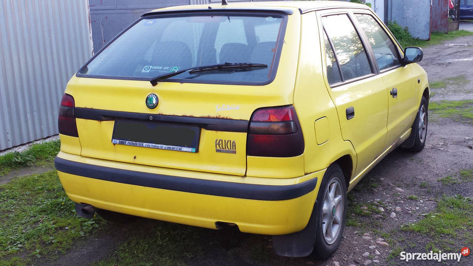 Skoda Felicia 13 Genua serwisowany w ASO Bełchatów