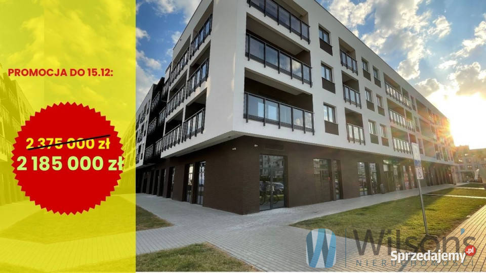 Lokal sprzedam Ożarów Mazowiecki 190m2 mazowieckie