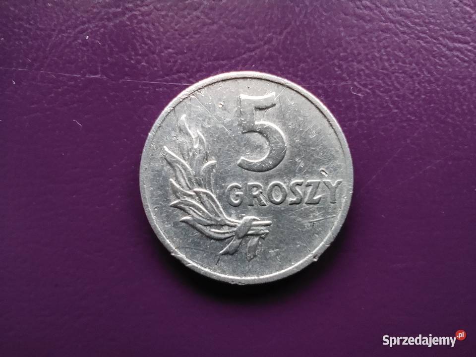 Moneta z PRLu 5 groszy 1949 Rzadka i ładna Pruszków