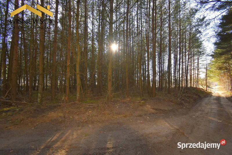Działka budowlana 3002m2 uzbrojona z lasem