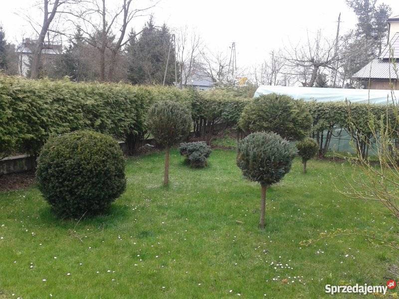 Sprzedam dom w miejscowości Lubycza Królewska Lubycza Królewska