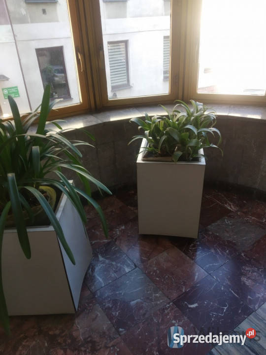 wynajmu lokalu Radom Jana Kilińskiego