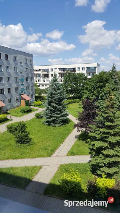 Mieszkanie 57 m Łódź Bałuty Radogoszcz Wschód łódzkie sprzedam