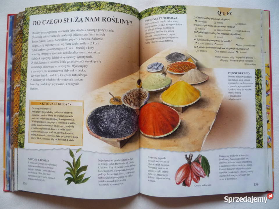 Encyklopedia pytań i odpowiedzi Rekordy zachodniopomorskie Szczecin