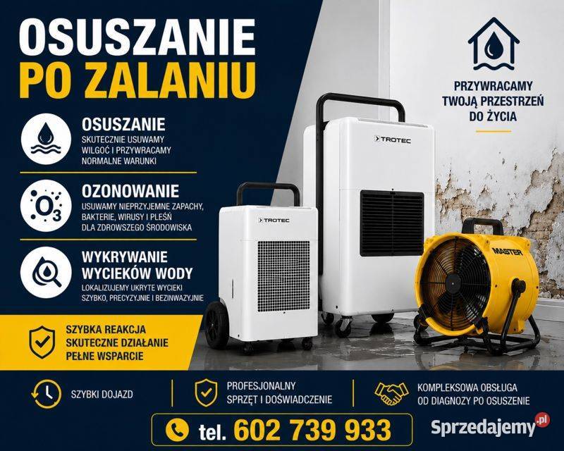 Osuszanie zalaniu Działdowo