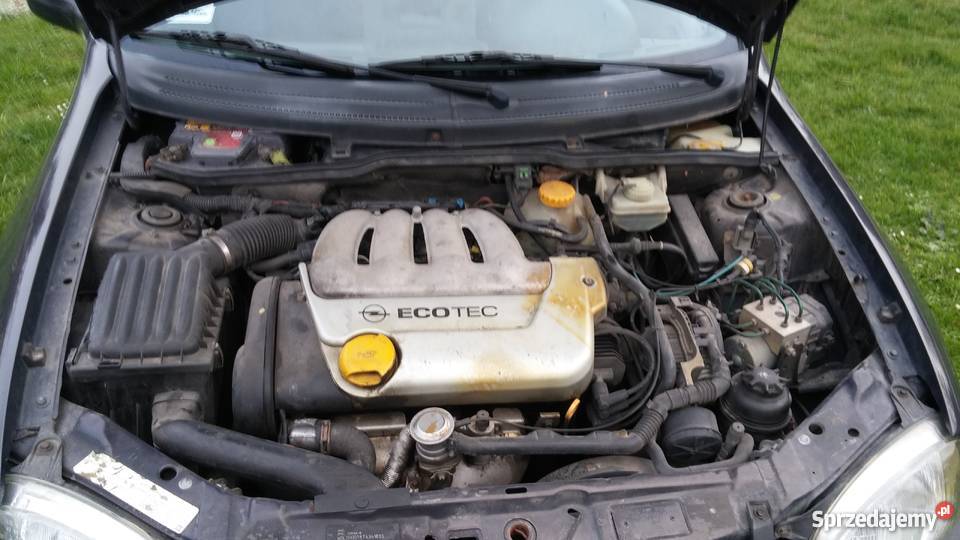 OPEL CORSA B 14 ECOTEC 90 BOGATO WYPOSAŻONY manualna Ćmiłów