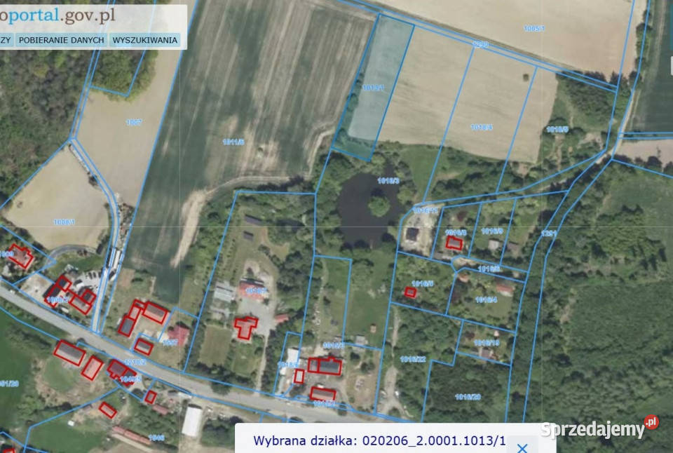 Działka zagrodowa 30ar Janczowice gm Łagiewniki 39zł/m2 dolnośląskie Jaźwina