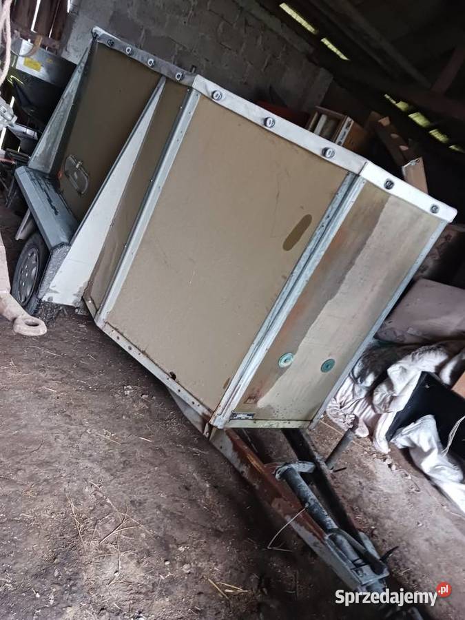 Koniowoz Westfalia Dołęgi sprzedam