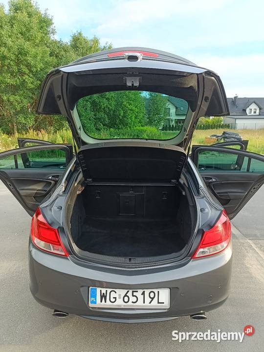 Opel Insignia A 20 Turbo 220 Automat Serwisowany Pilawa