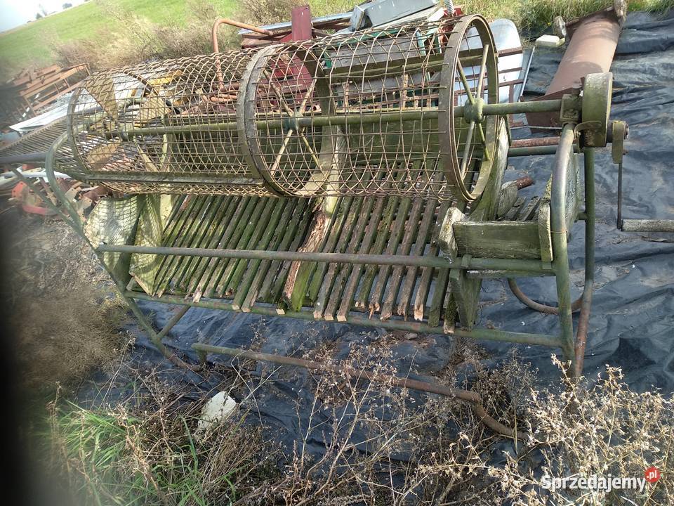 Sortownik do ziemniaków Sortowniki Działdowo