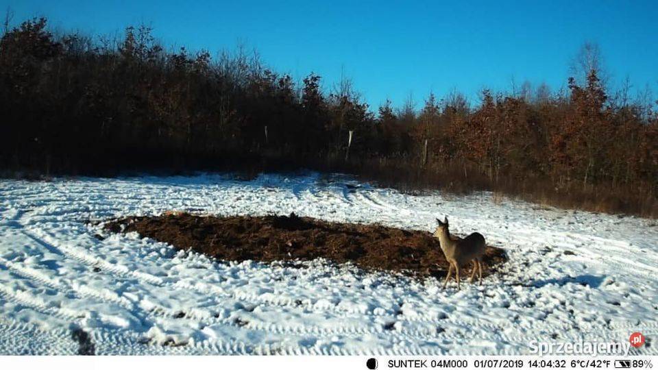 kamera obserwacyjna leśna fotopułapka 2G 20MP mazowieckie Siedlce