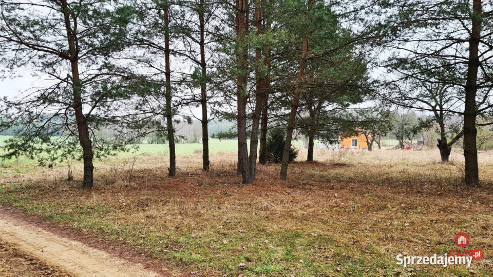 Grunt Pieńki 1911m2