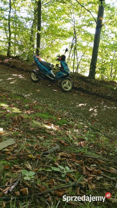 Speedfighter 2 Dobczyce