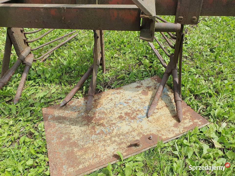 wyorywacz do buraków Chełm