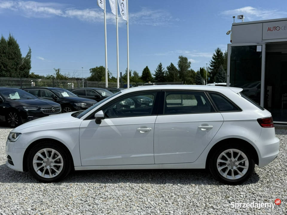 Audi A3 Sportback Audi A3 12 16V TSI 105 2014 Wrocław sprzedam