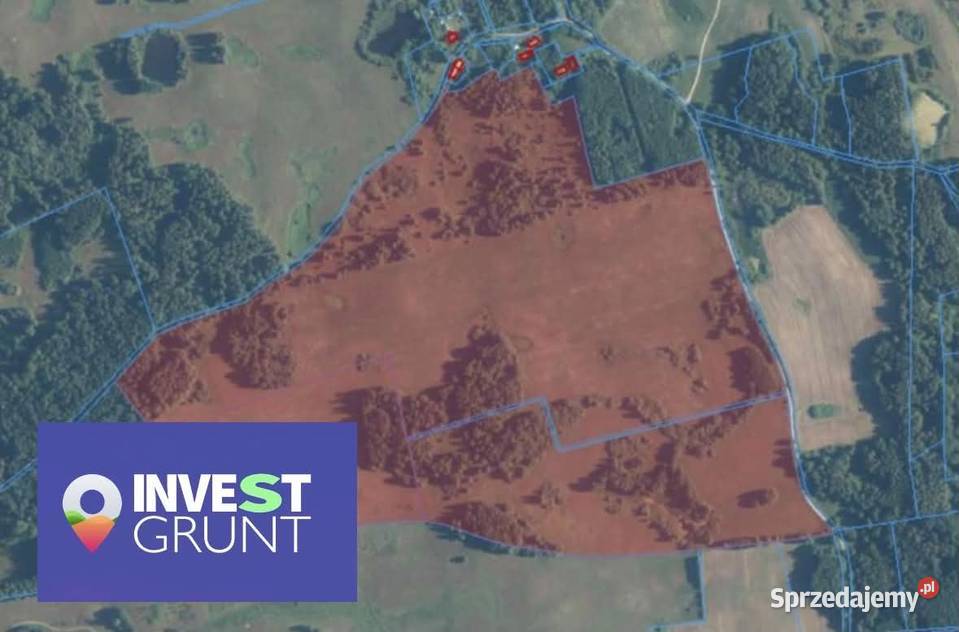 2818 ha Dzierżawa gruntu rolnego Dywity