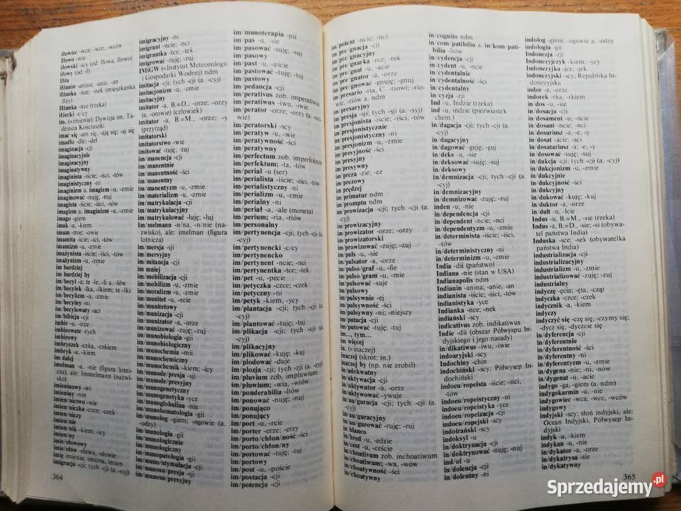 Słownik ortograficzny języka polskiego z zas ISBN 8301056541 Kraków sprzedam