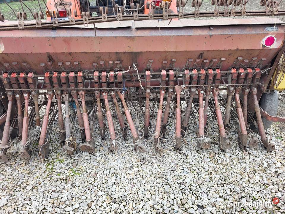 Siewnik poznaniak Wiskitki