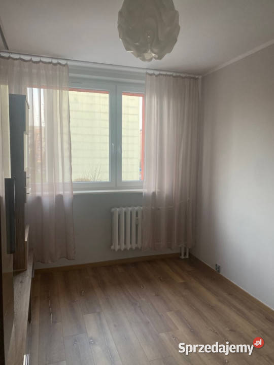 Do wynajęcia mieszkanie 70 m2 w Katowicach Rok budowy 1979 Katowice