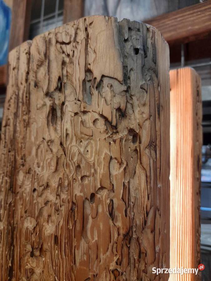 Lampa ledstare drewno Dekoracje i ozdoby Kamieńczyk sprzedam