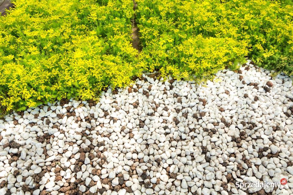 Drewno Piasek Kruszywa Rozbiórki Prace Ziemne Kozienice