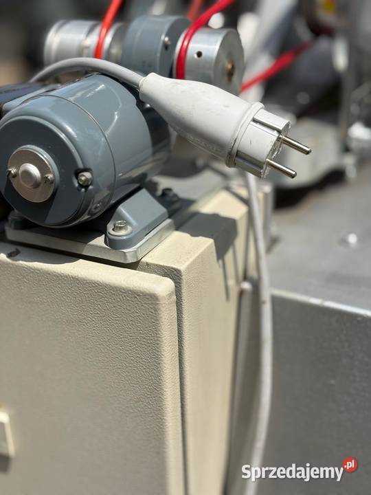 oczkarka stoco Szczecin sprzedam