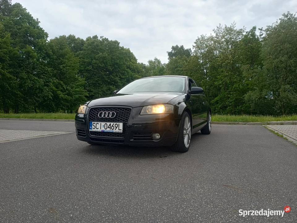 Audi A3 8P 19 TDI DPF Pogwizdów