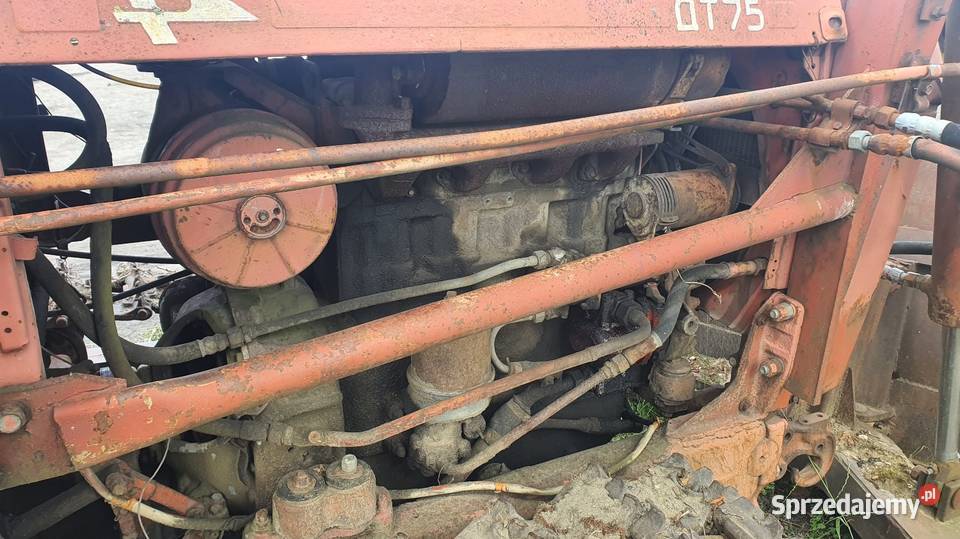 Ciągnik gąsiennicowy spychacz DT75 nie Kutno