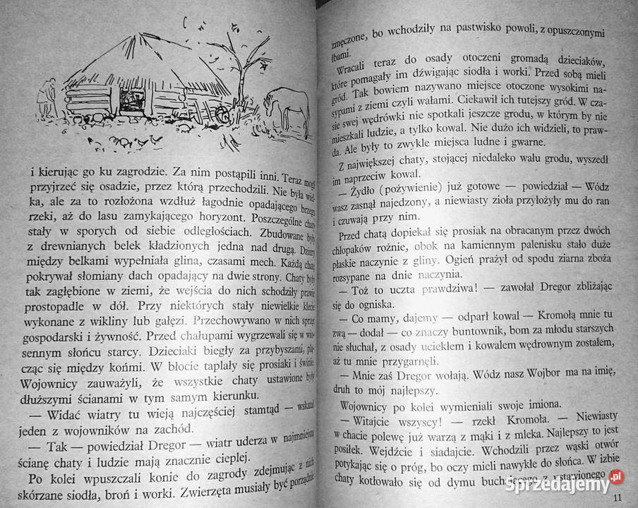 Przygody Janochy z Szelig Krzysztof Nowiński