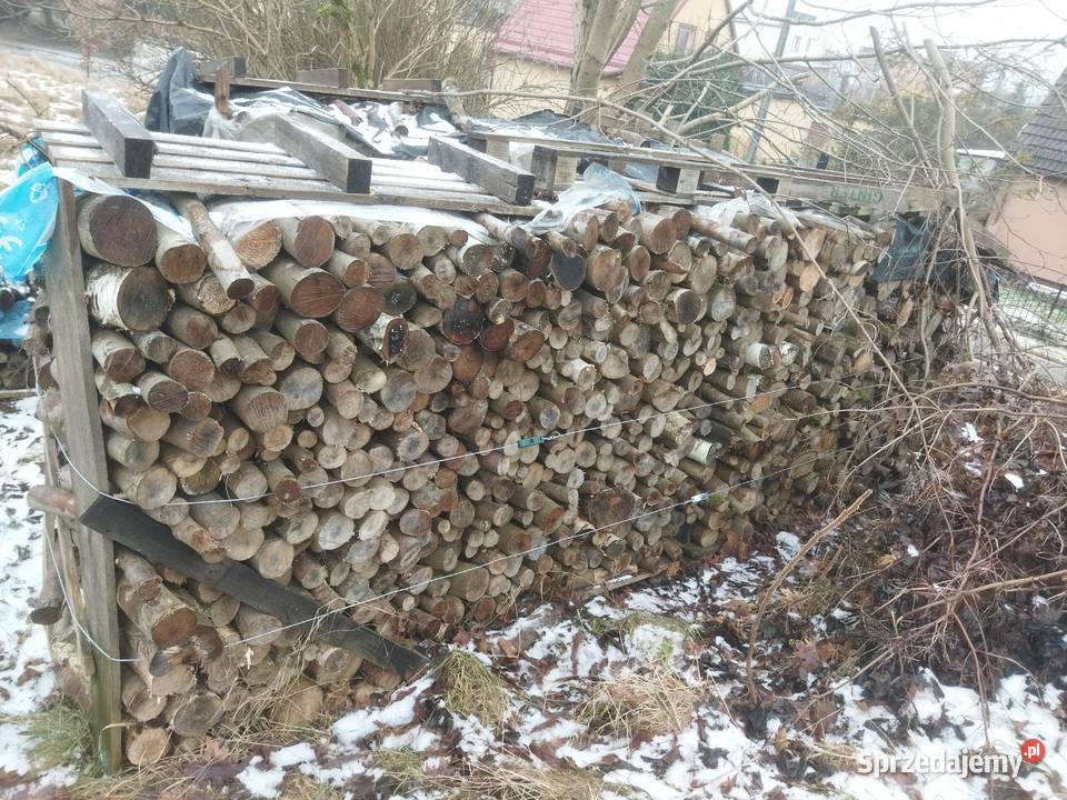 Drewno opałowe bukowe układane Miastko