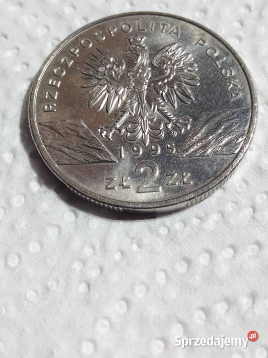 2 SUM 1995 r Numizmatyka dolnośląskie Świdnica sprzedam