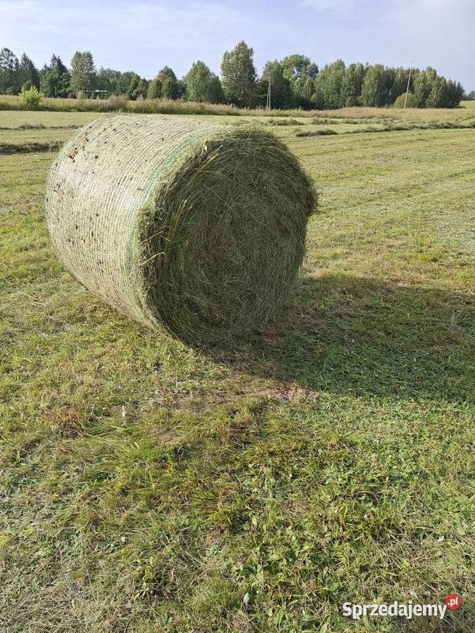 Sprzedam siano w belach Giby sprzedam