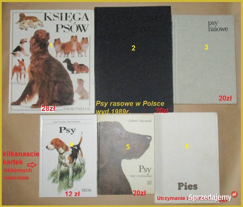 Fizjologia zwierząt MSGordon fizjologia biologia Łódź