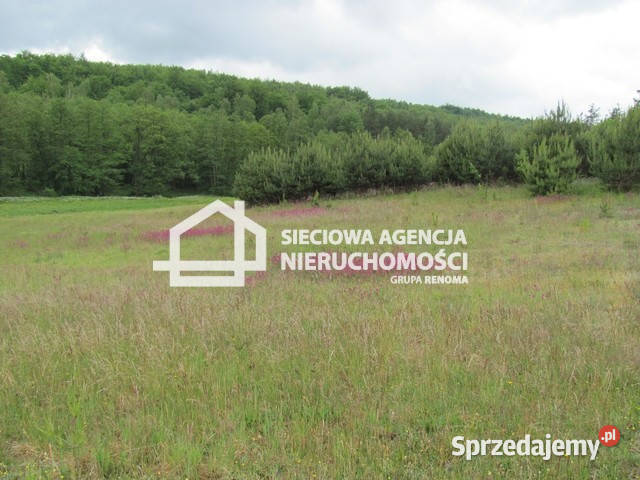 sprzedaży gruntu 5600m2 Marszewska Góra Sprzedaż pomorskie sprzedam