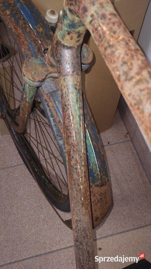 przedwojenny rower kamiński Pozostałe