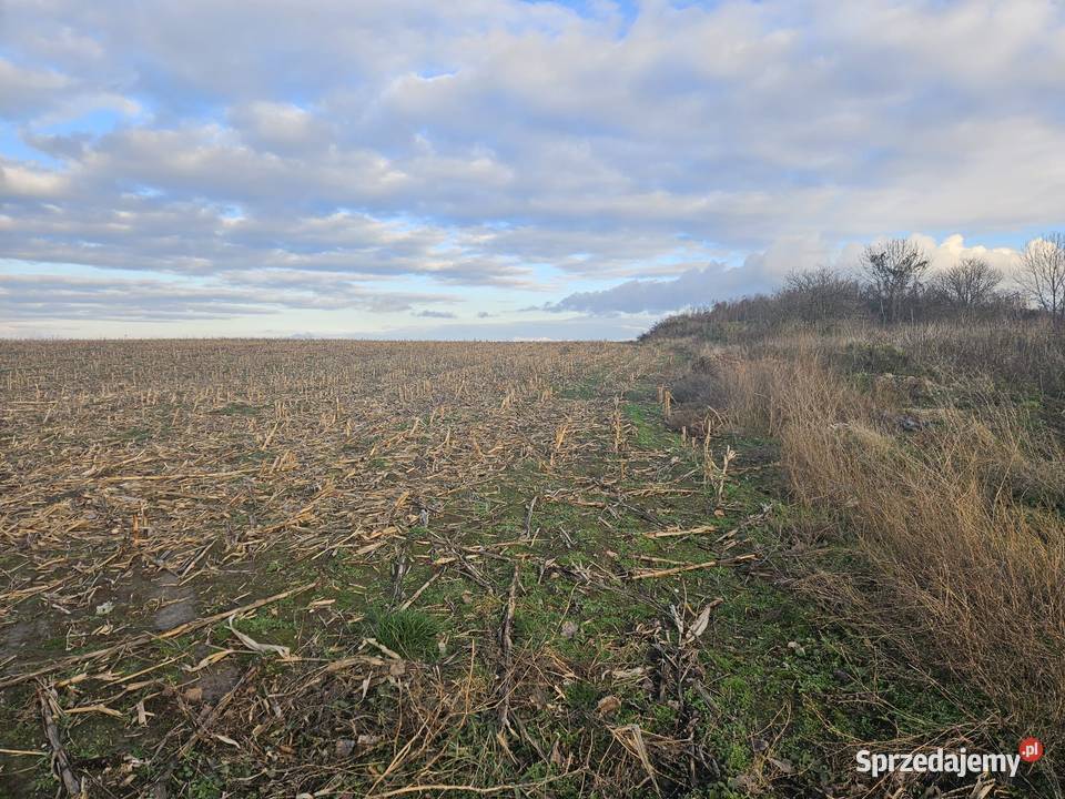 Działka w rozwijającej się okolicy dolnośląskie Snowidza sprzedam