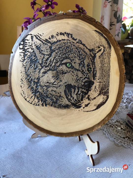 Obrazki wypalanewilk podkarpackie Strzyżów