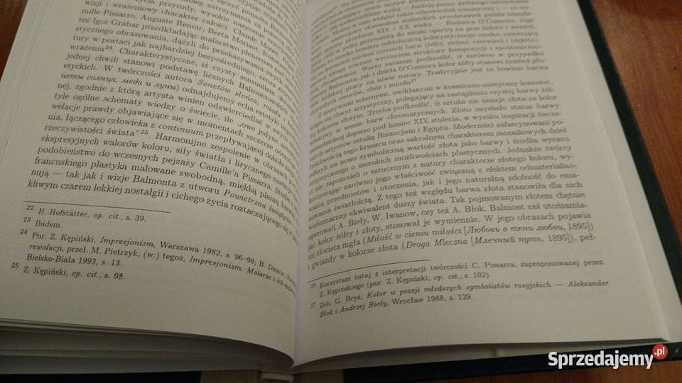 Literatura rosyjska przełomu XIX i XX wieku Gdańsk