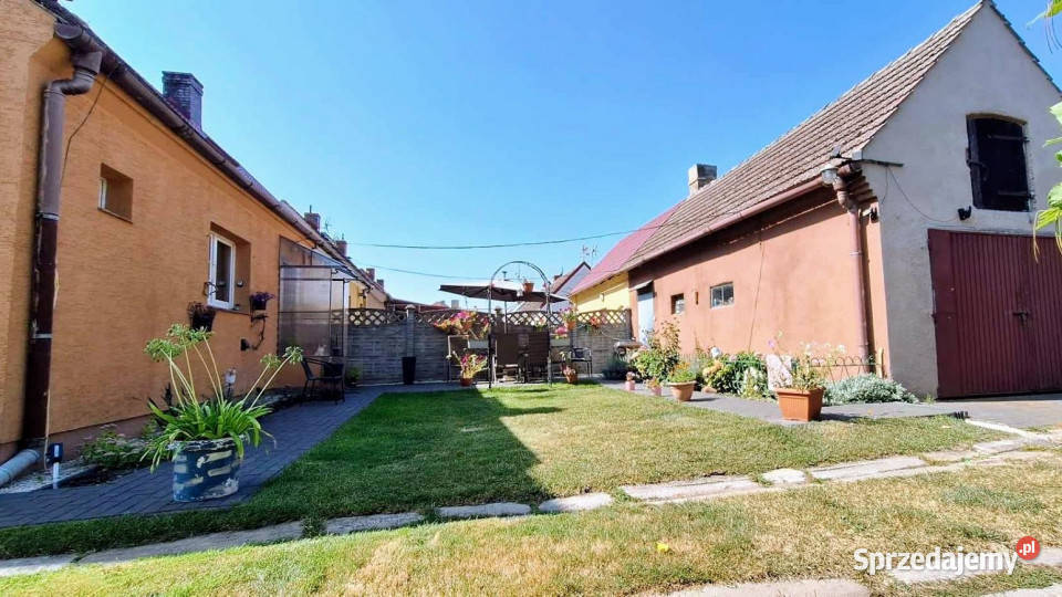Sprzedam dom bliźniak Golenice 100m2
