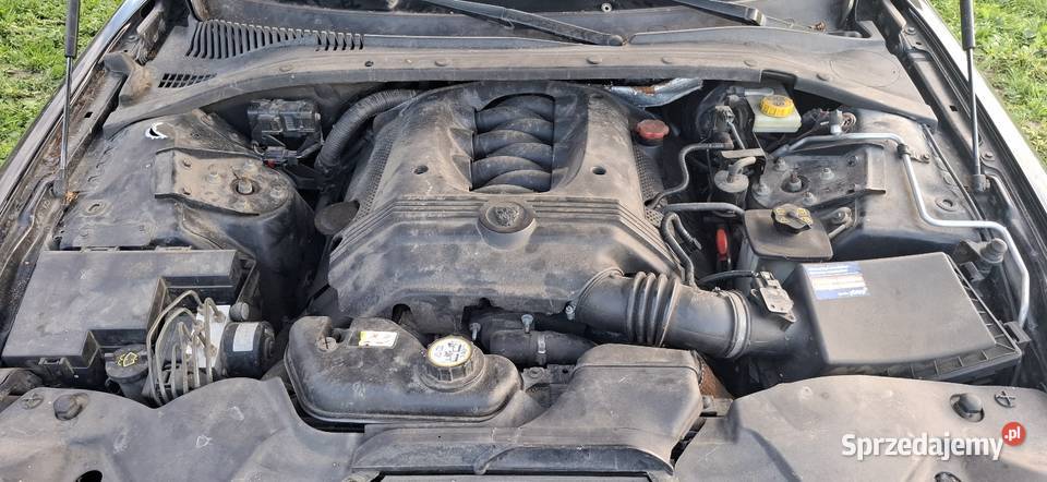 Jaguar Stype 42 V8 298 silnik skrzynia grill Hańsk-Kolonia