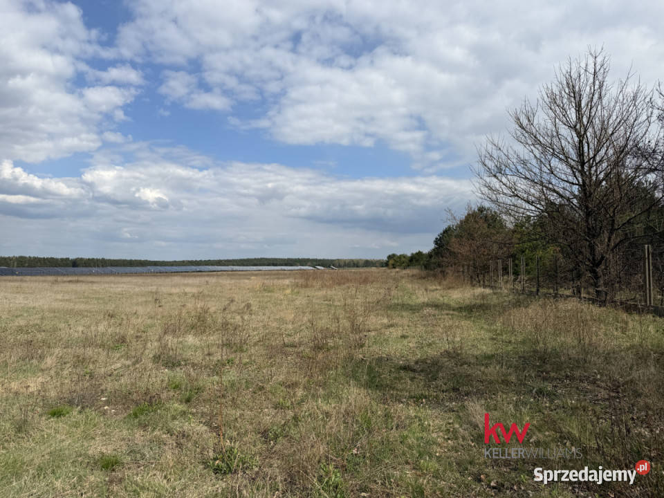 sprzedaży działki Piasek 22471m2 inwestycyjna