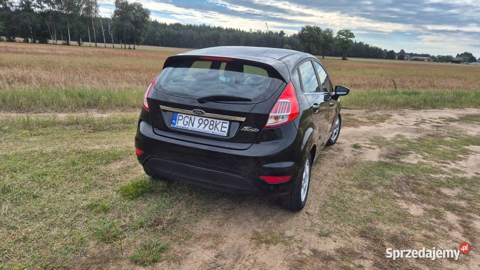 Ford Fiesta Mk7 2017 r bogata wersja Titanium Witkowo