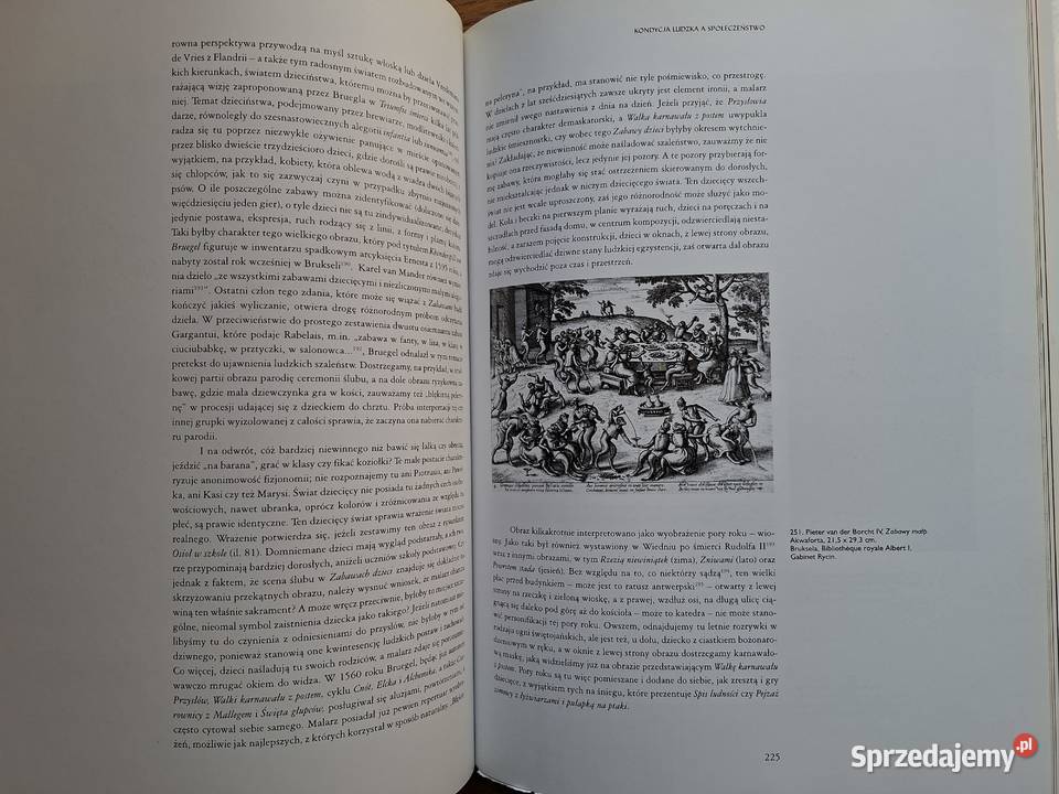 Bruegel Philippe i Francoise Roberts Jones twarda z obwolutą Kraków