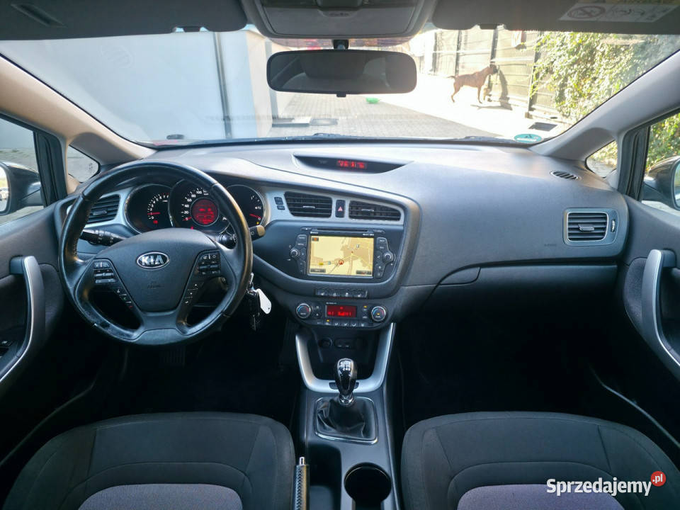 Kia Ceed 14 Benzyna Serwisowany Bogate Rok produkcji 2014 Piekoszów