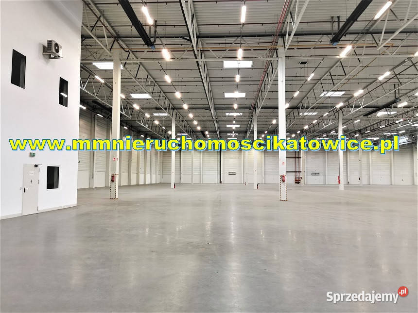 Powierzchnie magazynowe do wynajęcia do 10000 m2 parking Sosnowiec