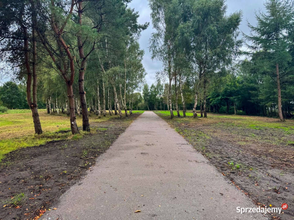 Działka budowlana z laskiem