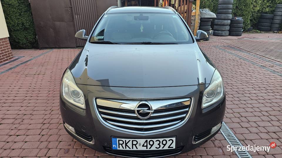Opel Insignia 20 CDTI 130 2009 Xenon podkarpackie Zarszyn