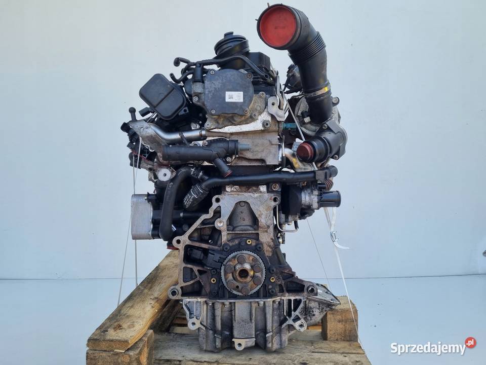 SILNIK KOMPLET VW Polo V 12 TDI 75 CFW CFWA Chełm