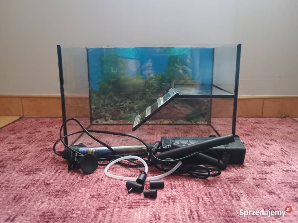 Sprzedam terrarium zołwia wodno lądowego Zakładanie terrariów i akwariów Krynka usługa dla zwierząt